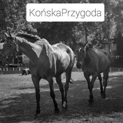 Końska Przygoda, Mniszków godziny otwarcia