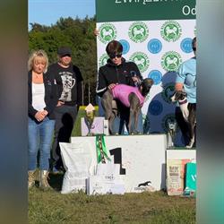 Gallaunt, Racibórz godziny otwarcia