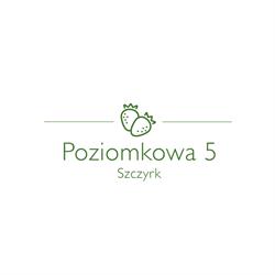 Poziomkowa 5, Dom wakacyjny do wynajęcia, Szczyrk godziny otwarcia