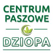 Dziopa Danuta. Handel, produkcja, usługi, Jędrzejów godziny otwarcia