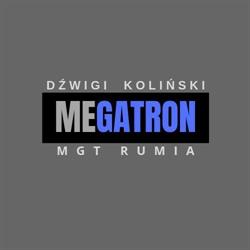 Usługi dźwigowe Megatron Piotr Koliński, Rumia godziny otwarcia