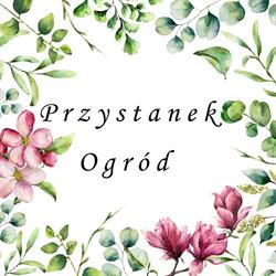 Przystanek Ogród, Zamysłowo godziny otwarcia