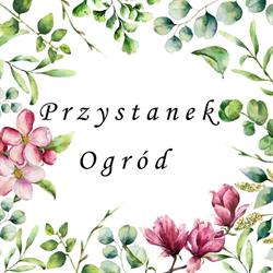 Przystanek Ogród, Zamysłowo godziny otwarcia