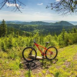 Mobilna Wypożyczalnia Rowerów w Lesku, Lesko godziny otwarcia