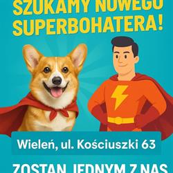 Max Elektro Sklep AGD RTV Multimedia, Wieleń godziny otwarcia