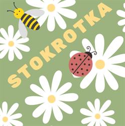 Stokrotka Opieka Dzienna, Olsztyn godziny otwarcia