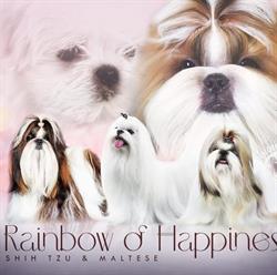 Rainbow Of Happiness FCI - Hodowla Shih-tzu, Wieliczka godziny otwarcia