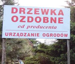 Szkółka Drzew i Krzewów Ozdobnych, Wronki godziny otwarcia