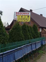 Szkółka Drzew i Krzewów Ozdobnych, Wronki godziny otwarcia