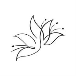 Mari-lill Salon Sukien Ślubnych, Wrocław godziny otwarcia