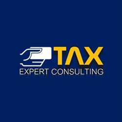 TAX EXPERT CONSULTING SP. Z O.O., Zielona Góra godziny otwarcia