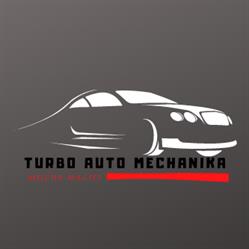 TURBO AUTO SERWIS, Muszyna godziny otwarcia