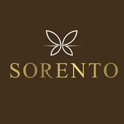 Sorento - Odzież Damska, Mosina godziny otwarcia