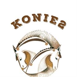 Dom Gościnny Konie2, Domek pod siodlem, Wetlina godziny otwarcia