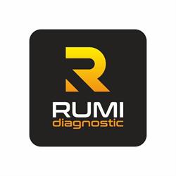 Rumi Diagnostic Okręgowa Stacja Kontroli Pojazdów / Legalizacja Tachografów, Radomsko godziny otwarcia