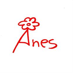 Anes Kwiaty, Rzeszów godziny otwarcia