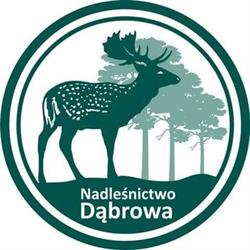 Nadleśnictwo Dąbrowa, Jeżewo godziny otwarcia