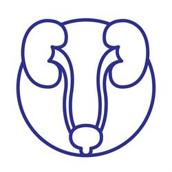 Klinika Urologii i Onkologii Urologicznej PUM w Szczecinie, godziny otwarcia