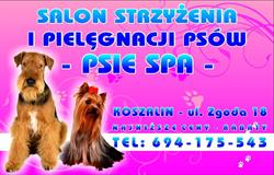 Psie spa strzyżenie psów Koszalin, godziny otwarcia