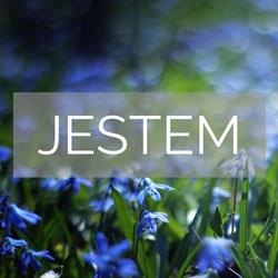 Gabinet Psychologiczno - Pedagogiczny JESTEM, Ostrzeszów godziny otwarcia