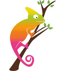 SKLEP ZOOLOGICZNY KAMELEON, Nowiny godziny otwarcia