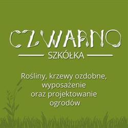 Szkółka Roślin CZWARNO Radom - Rośliny Iglaste, Liściaste, Owocowe, Kosów godziny otwarcia