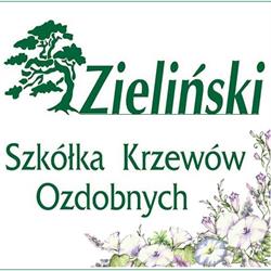 Szkółka Krzewów Ozdobnych Zieliński, Kolonia Skarszewek godziny otwarcia