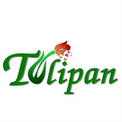 Fundacja resocjalizacji i readaptacji społecznej TULIPAN, Szczecin godziny otwarcia