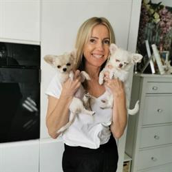 Salon Strzyżenia Psów Kamilla Paszkowska Przeźmierowo Animals Butique, godziny otwarcia