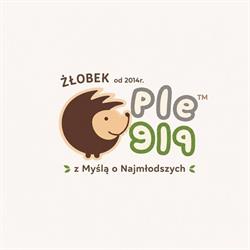 Niepubliczny Żłobek Ple-Ple, Rabka-Zdrój godziny otwarcia