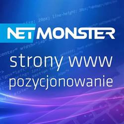 NETMONSTER Strony Internetowe, Kościan godziny otwarcia