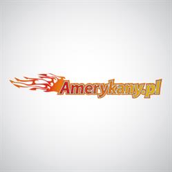 Amerykany.pl. Części do samochodów amerykańskich, Poznań godziny otwarcia