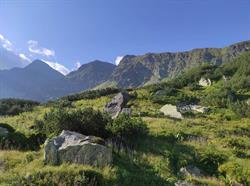 Tatry Holiday, Kościelisko godziny otwarcia