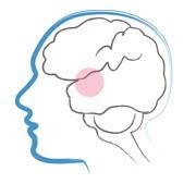 Klinika Języka neurologopeda Anna Poleszak, Szczecin godziny otwarcia