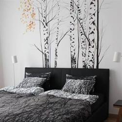 Baltiq Plaza Apartament, Gdynia godziny otwarcia
