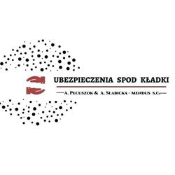 UBEZPIECZENIA SPOD KŁADKI (dawny Robmar Robert Gruszczyński ) A PECUSZOK& A SŁABICKA-MENDUS S.C., Lubin godziny otwarcia