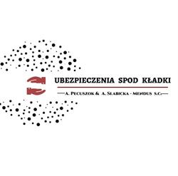 UBEZPIECZENIA SPOD KŁADKI (dawny Robmar Robert Gruszczyński ) A PECUSZOK& A SŁABICKA-MENDUS S.C., Lubin godziny otwarcia