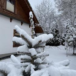 Na Szlaku, Rabka-Zdrój godziny otwarcia