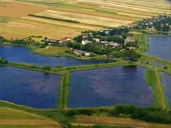 Gospodarstwo Rybackie Topornica Sp. z o.o., Lipsko godziny otwarcia