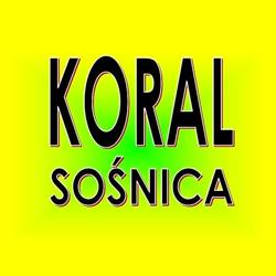 KORAL SOŚNICA Sklep Papierniczy Reymonta 13, Gliwice godziny otwarcia
