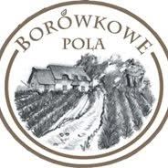 BORÓWKOWE POLA, Gałków Duży godziny otwarcia