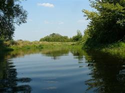 Wypożyczalnia kajaków Magiczna Rzeka - Bzura Kajaki, Bednary godziny otwarcia