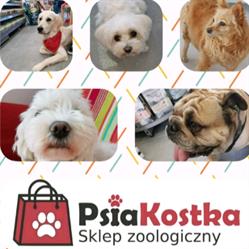 Psia Kostka Sklep Zoologiczny, Dąbrowa Górnicza godziny otwarcia
