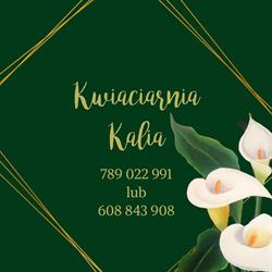 Kwiaciarnia Kalia, Biała Podlaska godziny otwarcia