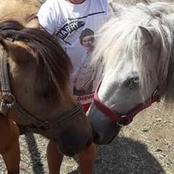 Iwona Hoinka Mała Farma, Kłobuck godziny otwarcia