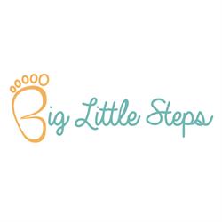 Niepubliczne Przedszkole Big Little Steps, Warszawa godziny otwarcia
