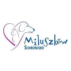 Pilskie Schronisko Dla Zwierząt Miluszków, Piła godziny otwarcia