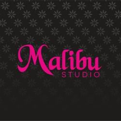 Studio Malibu, Piła godziny otwarcia