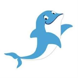 delfinteam.pl, Kraków godziny otwarcia
