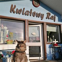 Kwiatowy Raj Agnieszka Fiedosewicz-Rosół, Jeżów Sudecki godziny otwarcia